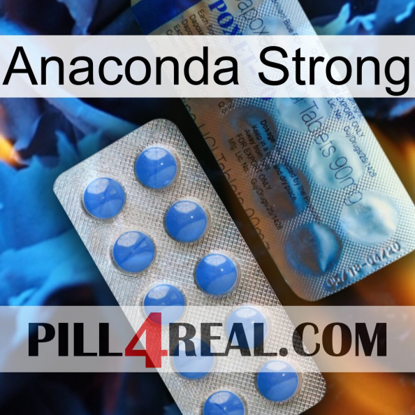 Anaconda Strong 40.jpg